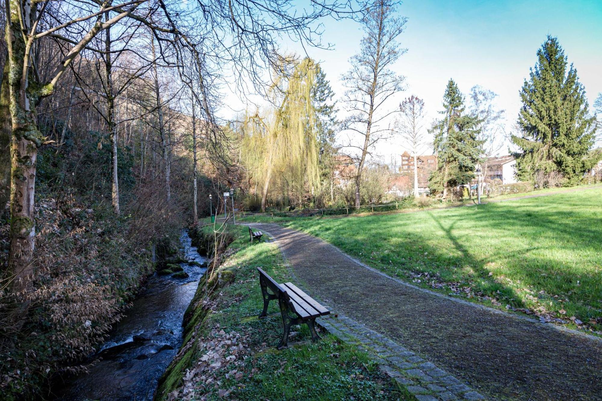 Living Timeless - Adler Apartments Sasbachwalden Luaran gambar